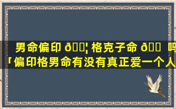 男命偏印 🐦 格克子命 🐠 吗「偏印格男命有没有真正爱一个人」